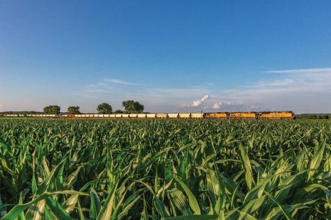 Manifest train passes a corn field in Midland, Kansas. | S